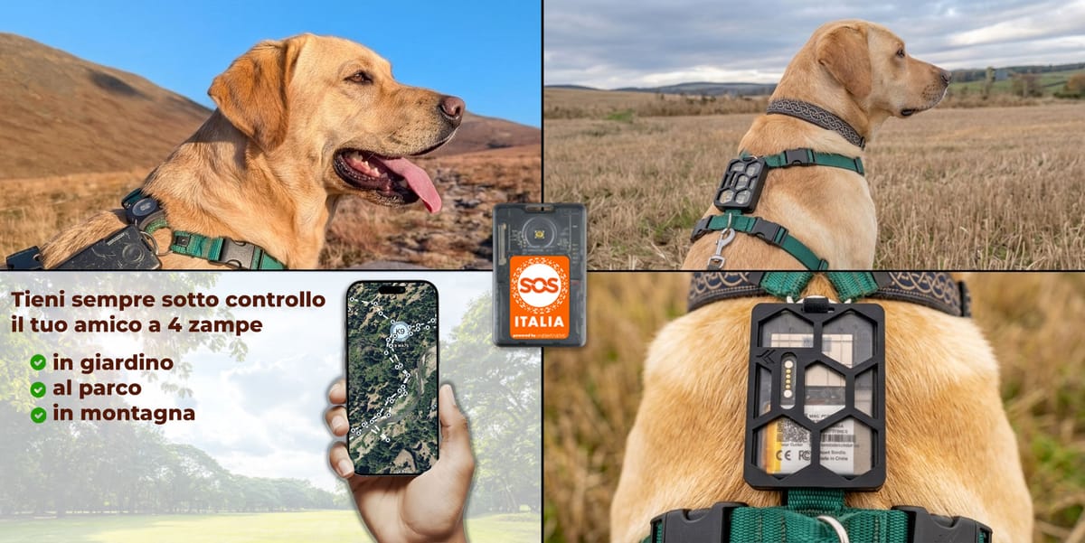 Meshtastic? Il tuo cane ringrazia!