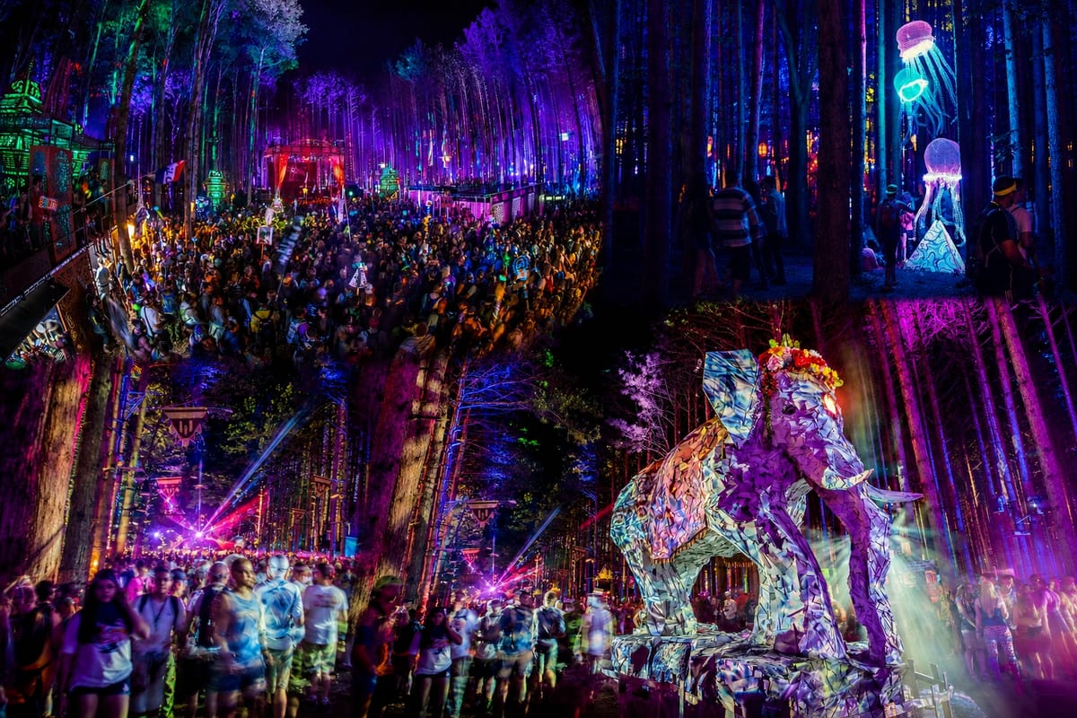 Electric Forest 2026 - parola d'ordine: Meshtastic!