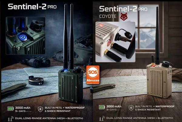 Sentinel-2 PRO in offerta: 179 euro!