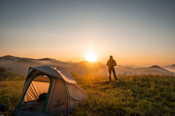 A volte stare da soli nella natura è una necessità 🌲